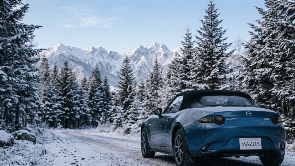 冬の間ロードスターを冬眠させる場合のチェックポイント